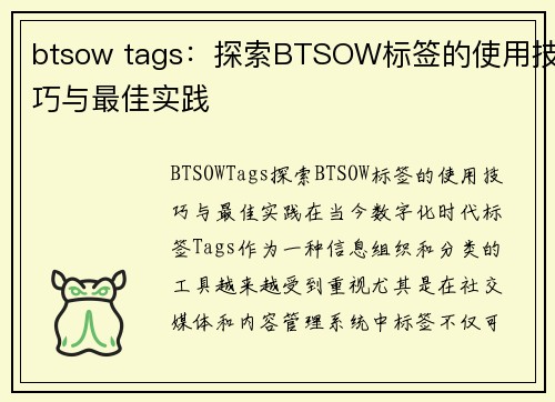 btsow tags：探索BTSOW标签的使用技巧与最佳实践