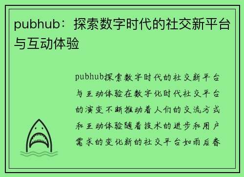 pubhub：探索数字时代的社交新平台与互动体验